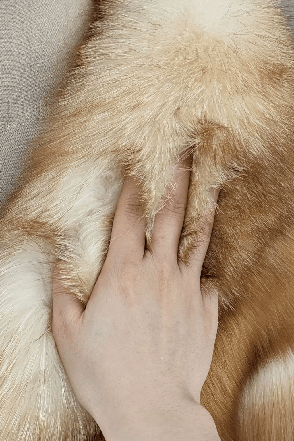 Manteau fourrure femme hiver Héritage fourrure